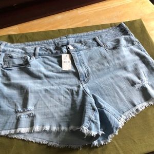 Lane Bryant shorts, NWT Sale this weekend is only